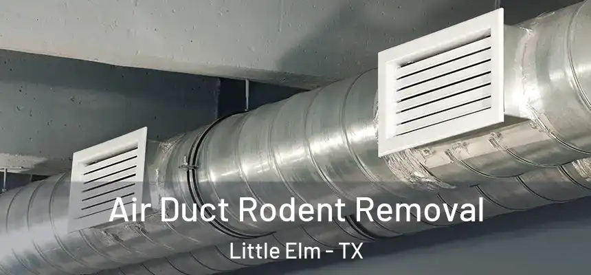  Air Duct Rodent Removal Little Elm - TX