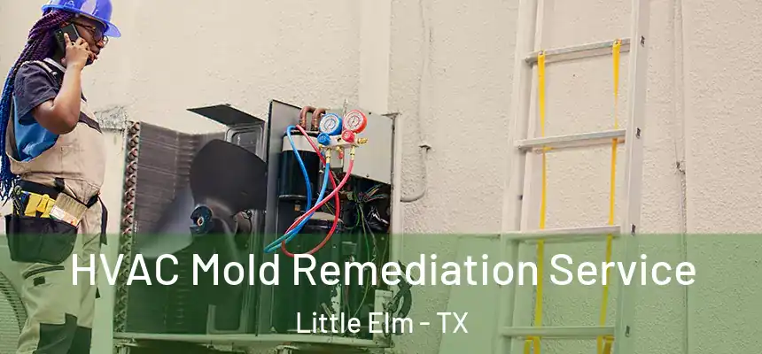  HVAC Mold Remediation Service Little Elm - TX