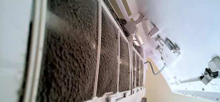 Preventive Air Duct Bacteria Removal in Little Elm