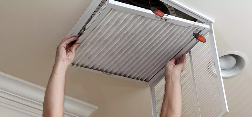 Preventive Cockroach-Proofing for Ducts in Little Elm