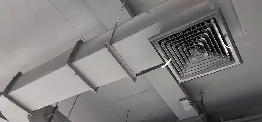 Restorative Allergy Relief Vent Cleaning – Coil, Blower & Housing Detail in Little Elm