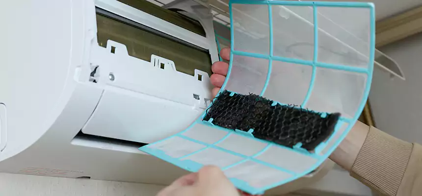 Gentle Ductwork Odor-Control Pet Dander Duct Cleaning in Little Elm, TX