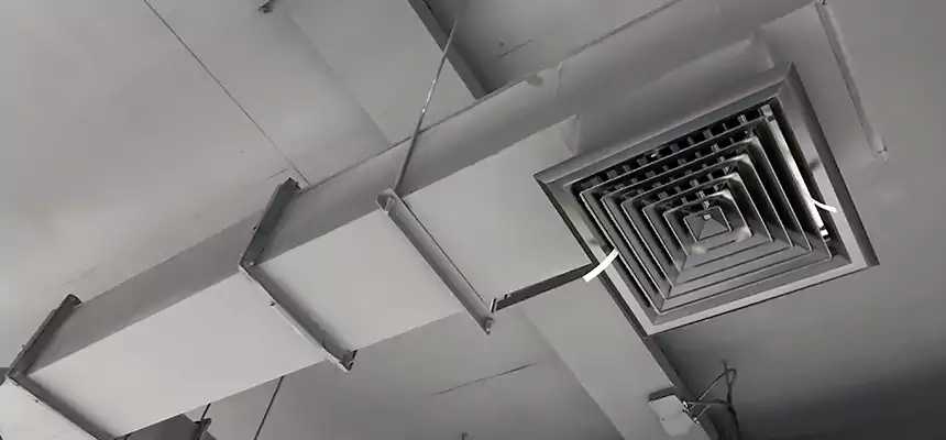 Our Rodent Droppings In Vents Services in Little Elm, TX