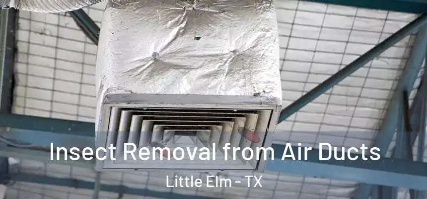  Insect Removal from Air Ducts Little Elm - TX