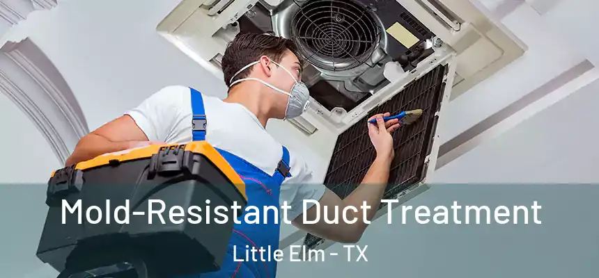  Mold-Resistant Duct Treatment Little Elm - TX