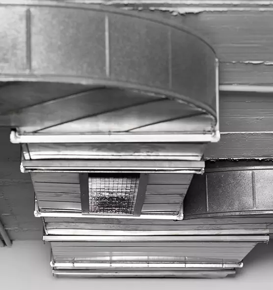 Professional Air Duct Pet Hair Removal in Little Elm, TX