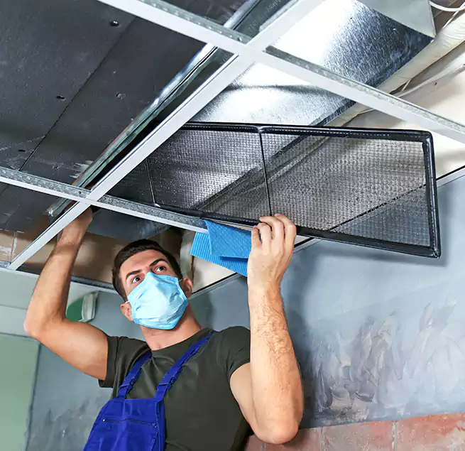 Why Homeowners Businesses Trust Us in Little Elm, TX