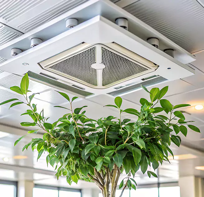 Why Homeowners & Businesses Trust Us in Little Elm, TX