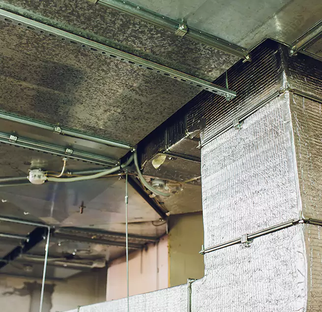 Why Homeowners & Businesses Trust Us in Little Elm, TX?